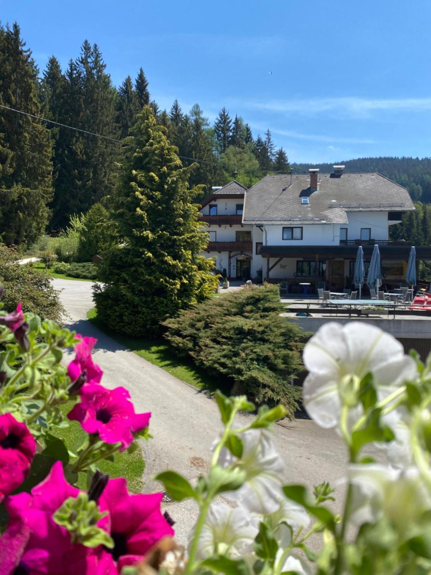 Forellenwirt Bacher Kirchberg  外观 照片